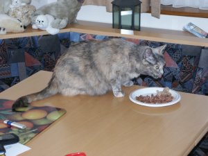 Grosses bild anzeigen PICT4637.JPG