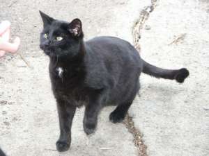 Grosses bild anzeigen PICT5634.jpg