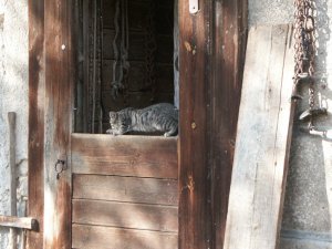 Grosses bild anzeigen PICT3769.JPG