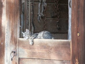 Grosses bild anzeigen PICT3770.JPG