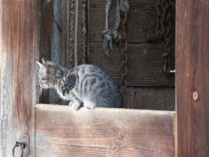 Grosses bild anzeigen PICT3772.JPG